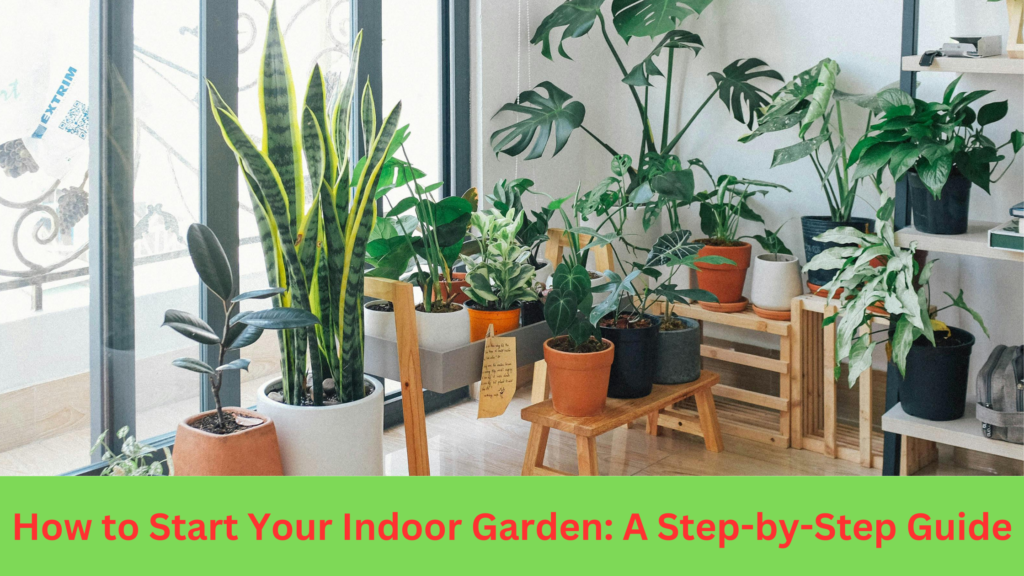 How to Start Your Indoor Garden: A Step-by-Step Guide